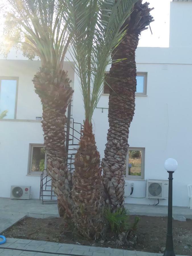 Argaka Palm Tree Apts Экстерьер фото